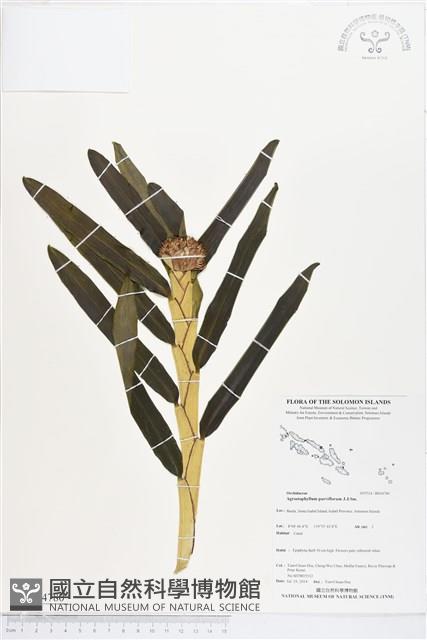 登錄號:BS04780藏品圖，第1張