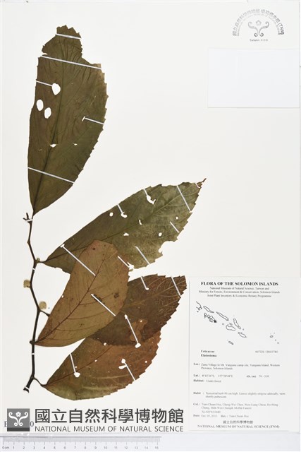 登錄號:BS03780藏品圖，第1張
