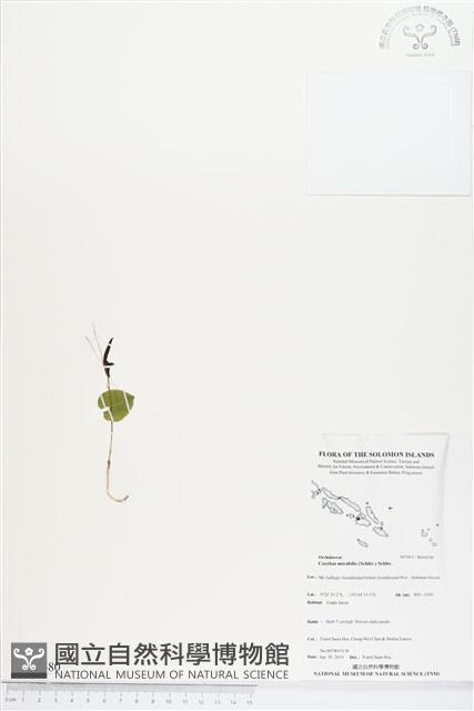 登錄號:BS04580藏品圖，第1張