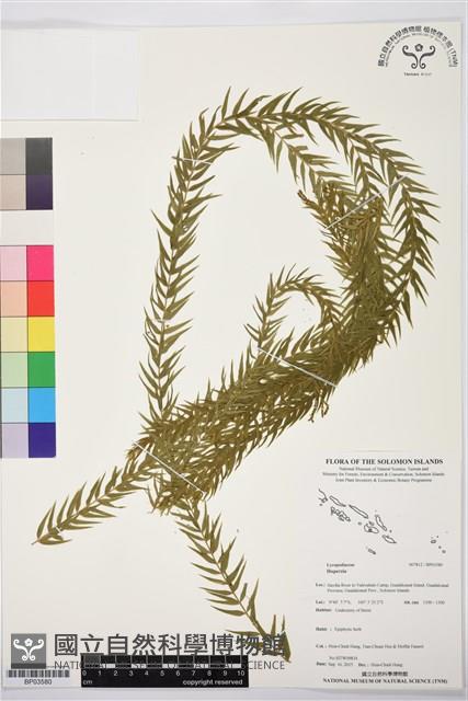 登錄號:BP03580藏品圖，第1張