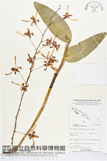 登錄號:BS03580藏品圖，第1張