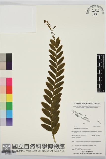 登錄號:BS07580藏品圖，第1張