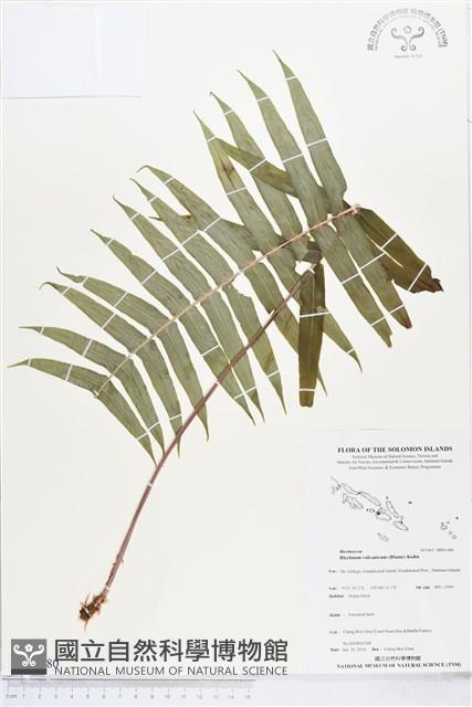 登錄號:BP01980藏品圖，第1張