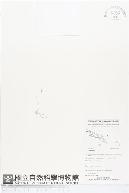 登錄號:BS04980藏品圖，第1張