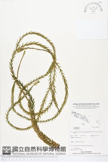 登錄號:BP02380藏品圖，第1張