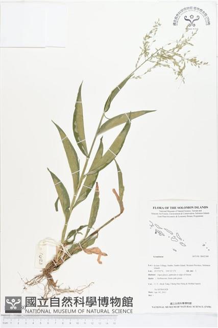 登錄號:BS02380藏品圖，第1張