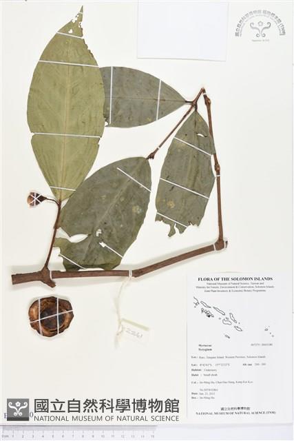 Accession Number:BS03380 Collection Image