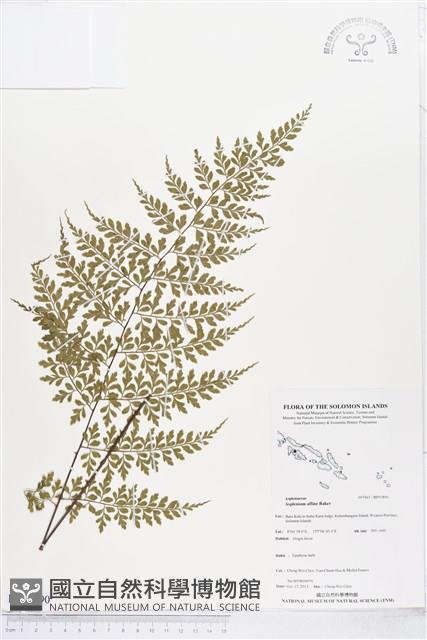 登錄號:BP01890藏品圖，第1張