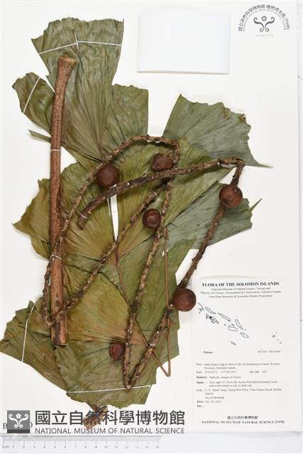 登錄號:BS02090藏品圖，第1張