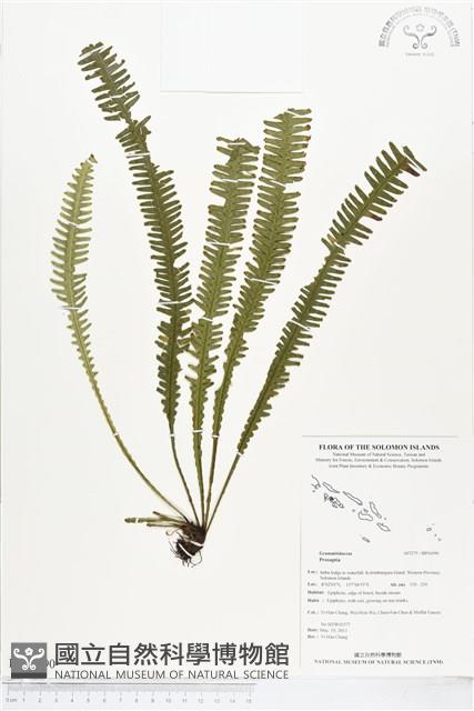 登錄號:BP01090藏品圖，第1張
