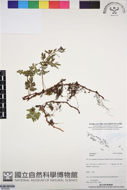 登錄號:BP03090藏品圖，第1張