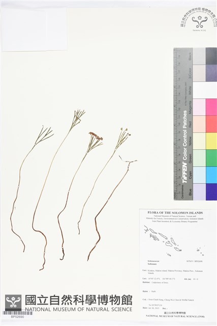 登錄號:BP02690藏品圖，第1張