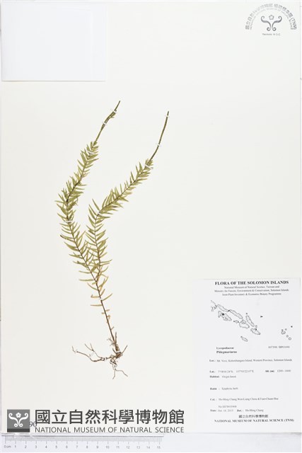 登錄號:BP01690藏品圖，第1張