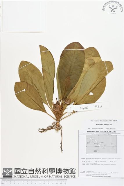 登錄號:BS01690藏品圖，第1張