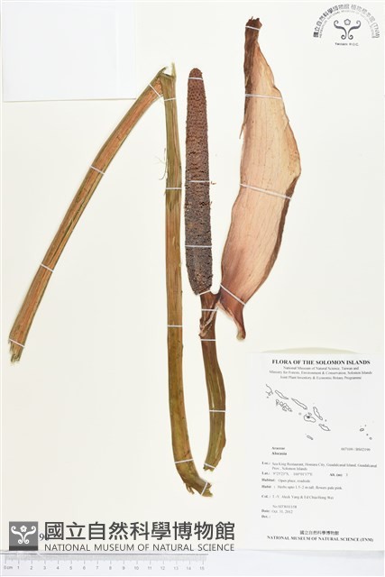 登錄號:BS02190藏品圖，第1張