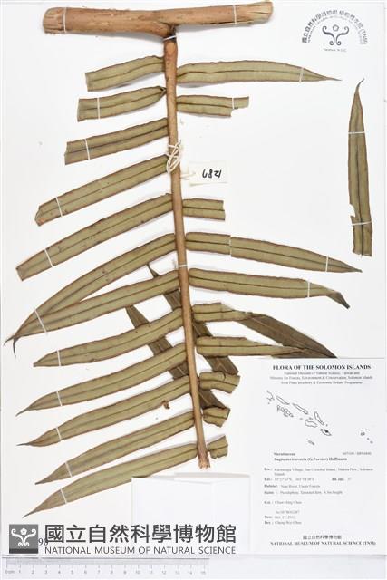 Accession Number:BP00490 Collection Image