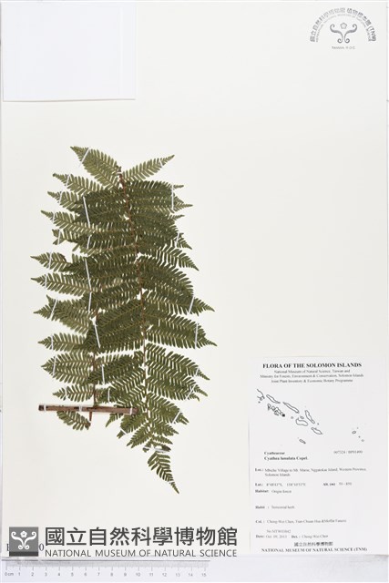 登錄號:BP01490藏品圖，第1張