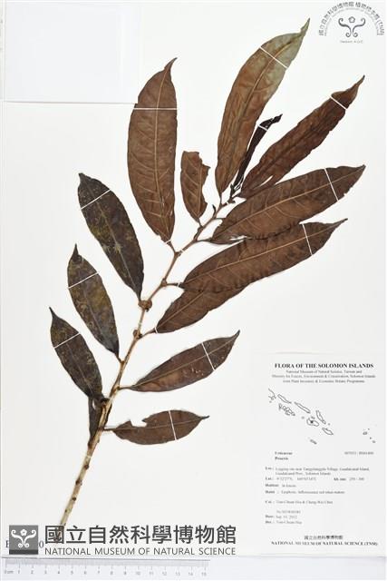 登錄號:BS01490藏品圖，第1張