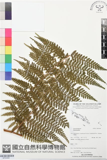 登錄號:BP03490藏品圖，第1張