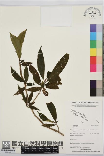 登錄號:BS07490藏品圖，第1張