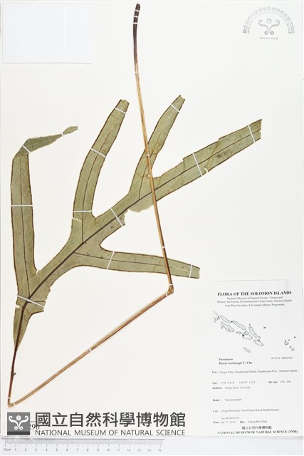 登錄號:BP02290藏品圖，第1張
