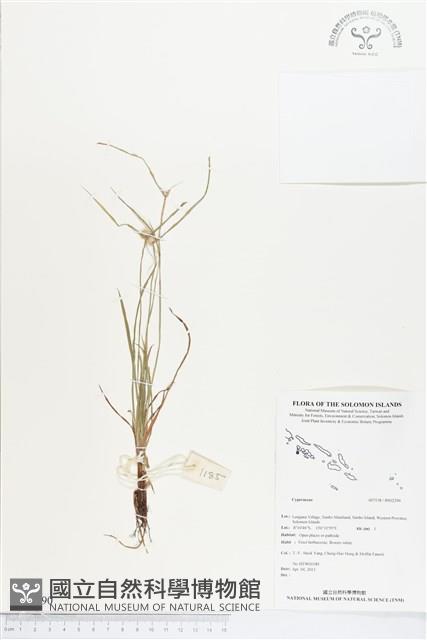 登錄號:BS02290藏品圖，第1張