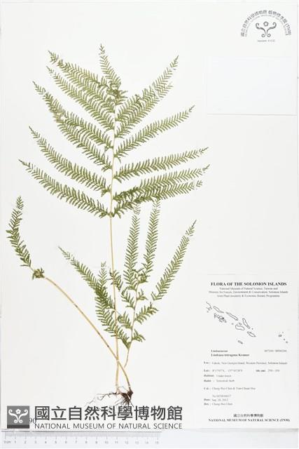 登錄號:BP00290藏品圖，第1張