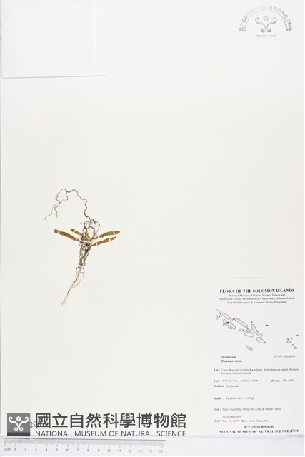 登錄號:BS04290藏品圖，第1張