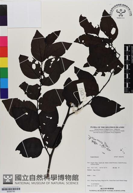 登錄號:BS06790藏品圖，第1張