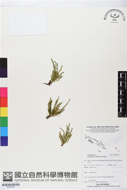登錄號:BP02790藏品圖，第1張