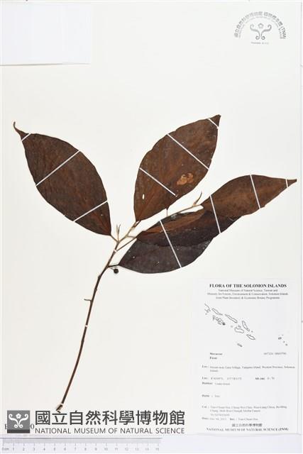 登錄號:BS03790藏品圖，第1張