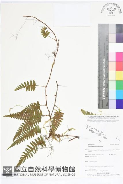 登錄號:BP02590藏品圖，第1張