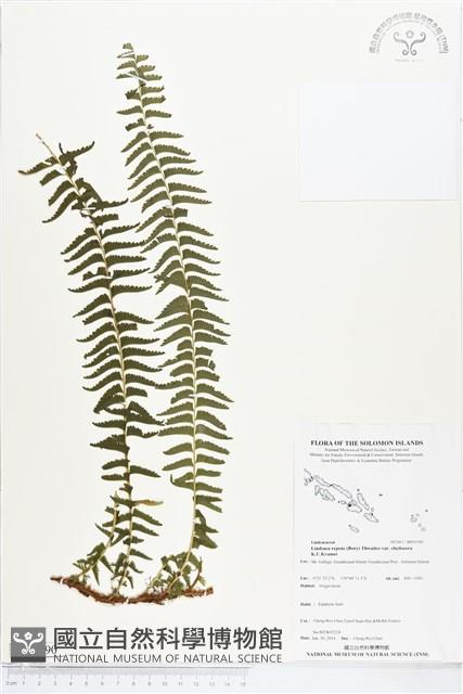 登錄號:BP01990藏品圖，第1張