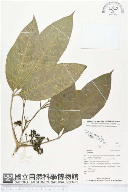 登錄號:BS01990藏品圖，第1張