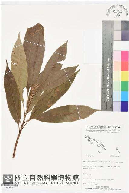 登錄號:BS05990藏品圖，第1張