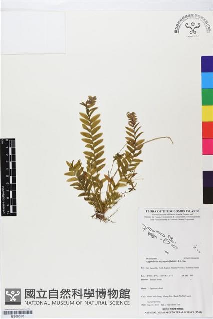 登錄號:BS06390藏品圖，第1張