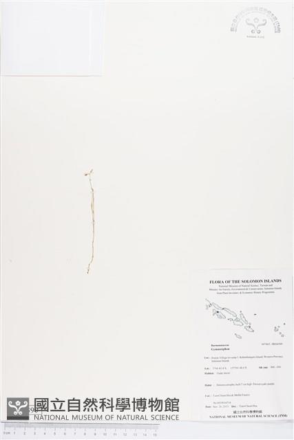 登錄號:BS04390藏品圖，第1張