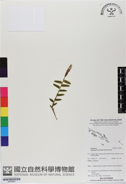 登錄號:BS06860藏品圖，第1張