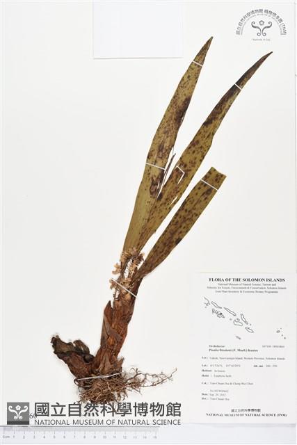 登錄號:BS01860藏品圖，第1張