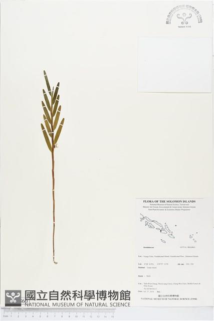 登錄號:BS04860藏品圖，第1張