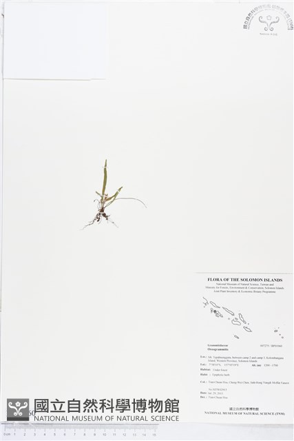 登錄號:BP01060藏品圖，第1張