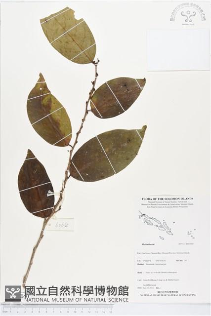 登錄號:BS05060藏品圖，第1張