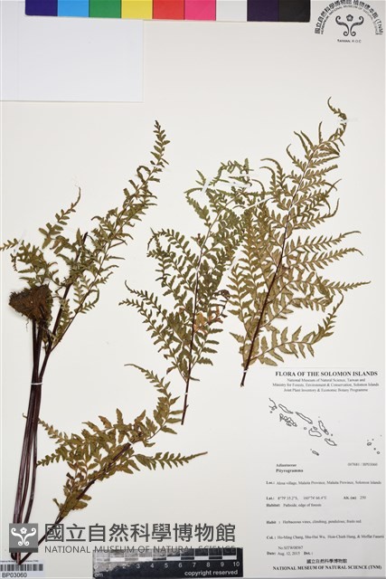 登錄號:BP03060藏品圖，第1張
