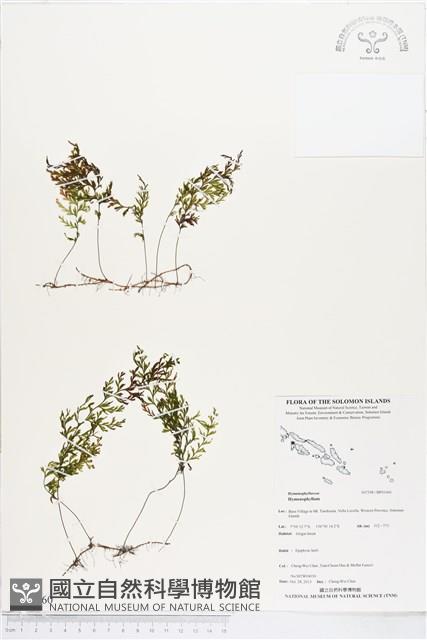 登錄號:BP01660藏品圖，第1張