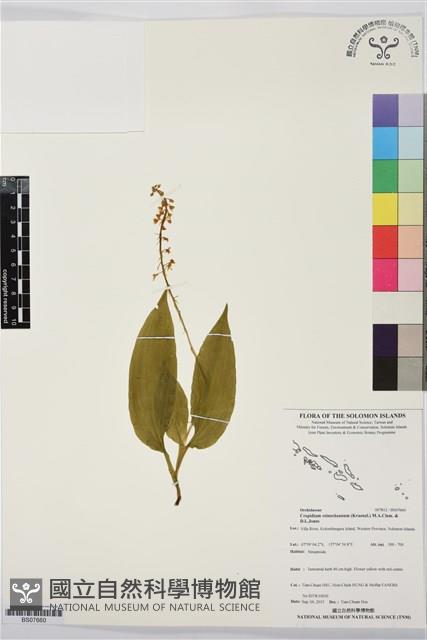 登錄號:BS07660藏品圖，第1張