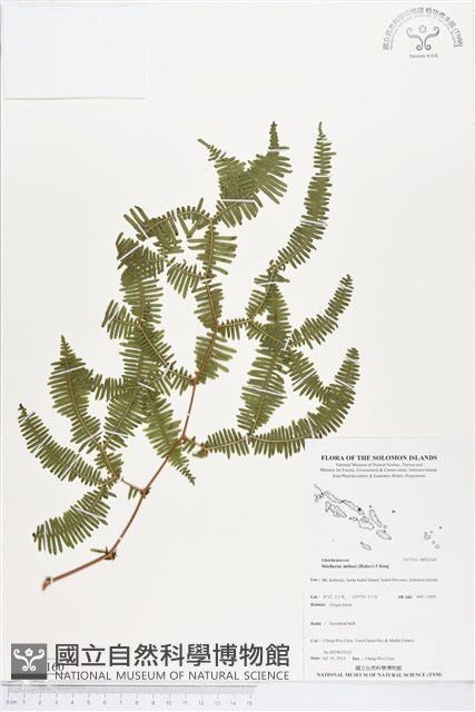 登錄號:BP02160藏品圖，第1張