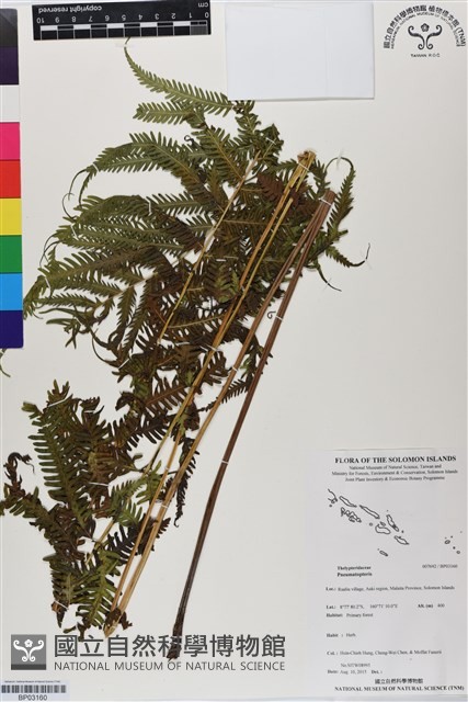 登錄號:BP03160藏品圖，第1張