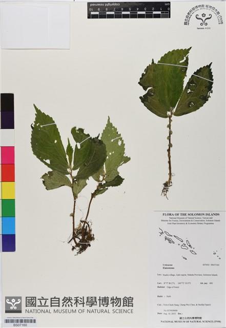 登錄號:BS07160藏品圖，第1張