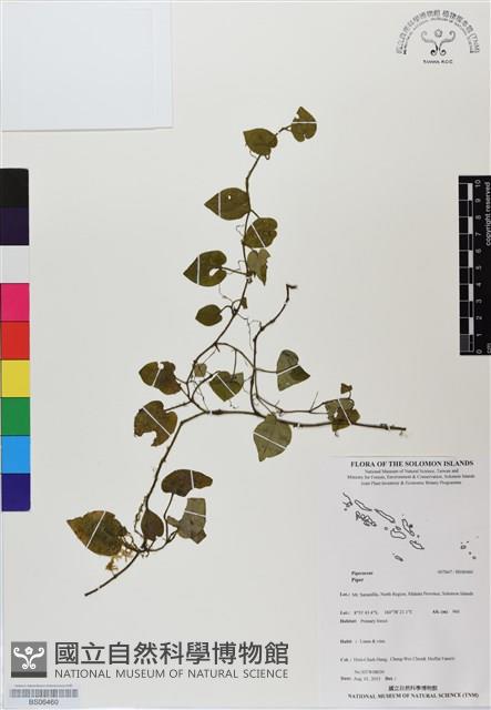 登錄號:BS06460藏品圖，第1張