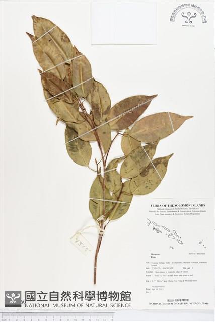 登錄號:BS02460藏品圖，第1張